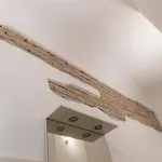 2 Minutes From The Colosseum - Luxury Apartment